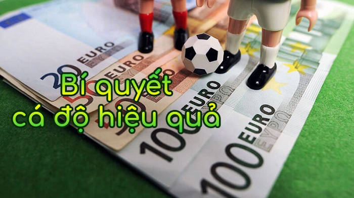Kinh nghiệm cá cược thể thao